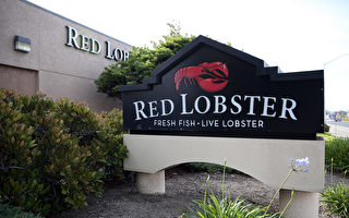 北美知名海鲜餐厅红龙虾正式申请破产保护