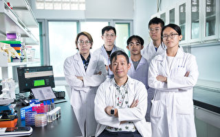 台灣海大團隊發現新細菌 能分解塑膠去除柴油
