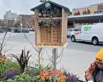 “蜜蜂旅馆”将进驻纽约市公共广场 保护濒危授粉昆虫
