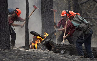 安省将增加野地消防员医疗保险