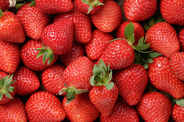 如何延長草莓的存放時間？ 專家教你幾招
