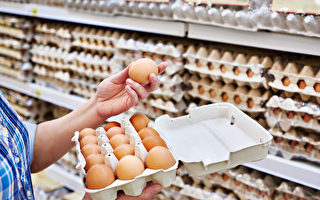 禽流感致鸡蛋日产量减少45万  蛋价恐上涨