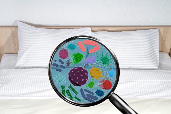 杀菌除螨 床单该怎么洗？生物学家教你4技巧