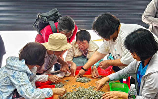 赤崁傳承與希望 守護丁香魚的珍貴傳統