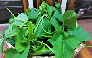 绿叶蔬菜保存 简单4诀窍延长保鲜期