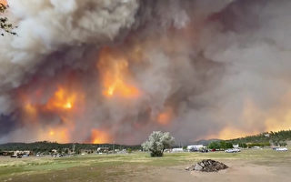 美新墨西哥州野火 2人死亡 约8000人疏散