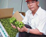 花東4大超人氣特產