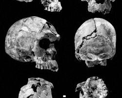 考古发现：16万年前古人与现代人相似