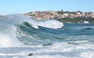 澳洲雪梨海岸隨時面臨山崩威脅
