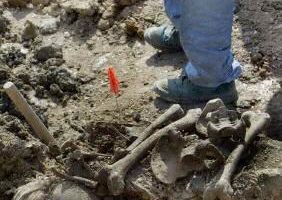 波士尼亞東發現大屠殺掩埋場中五百具屍骸
