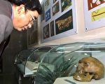 美研究人員：現代人類始祖可追溯三萬四千年
