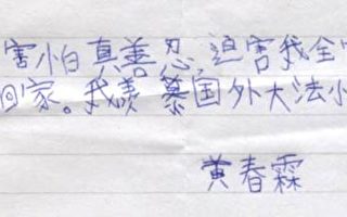 遼寧省鐵嶺市一名10歲孩子的經歷