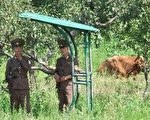 北韩粮食不足  一万五千名士兵逃跑