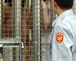 大陸偷渡女溺斃案  台檢方求判船長極刑