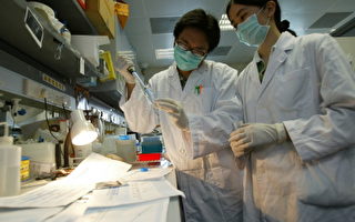 中國科學家試圖制造三父母胚胎