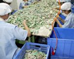 東莞：表面榮景下潛藏發展危機