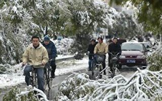 北京首場冬雪 傷樹百万棵