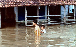 越南数十万灾民 急需援助