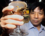大陆土龙药酒  药材竟是塑胶制品