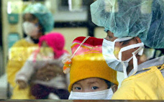 国际专家前往越南南部调查禽流感疫情