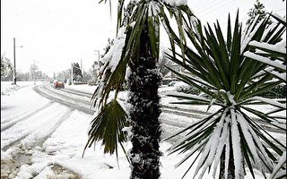 欧洲暴风雪袭击 十人死亡