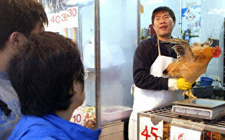 香港暂停进口活鸡并禁止向菜市场供应