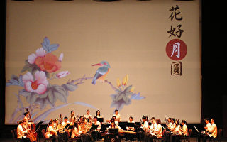 台灣的大學老師們肯尼迪華人晚會奏民樂