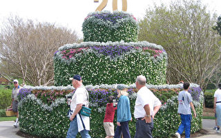 达拉斯户外花卉节迎来20周年纪念