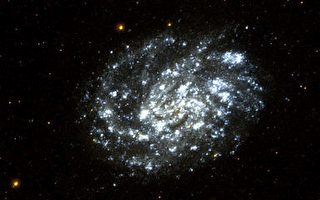 哈伯望远镜洞察NGC300核心
