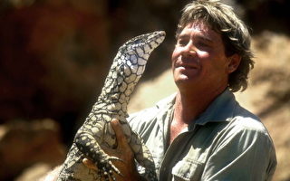 澳洲著名捕鱷人將面臨被指控