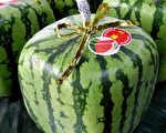 日本出售又大又方的西瓜