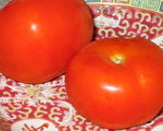 昆士蘭試驗種植新品種抗癌西紅柿