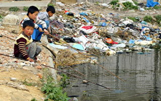 觸目驚心 菲律賓岸邊上的「垃圾海」