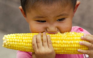 專家認爲：最好的長壽主食可能是玉米