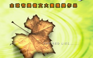 《红朝谎言录》繁体版封面