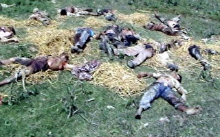 尼泊爾游擊戰共產黨48人死亡