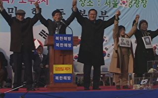韩首尔举行纪念独立日和呼吁营救同胞大会