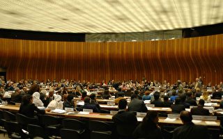 在联合国呼吁国际社会关注新唐人事件
