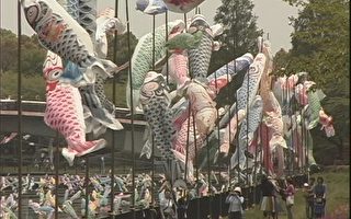 日本各地在春季举办鲤鱼旗观赏活动