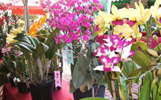 花添平安