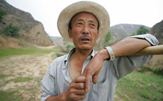 路透社: 人民幣升值打擊中國農民