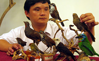 特生中心鳥類標本收藏豐富  鳥類學珍貴資源