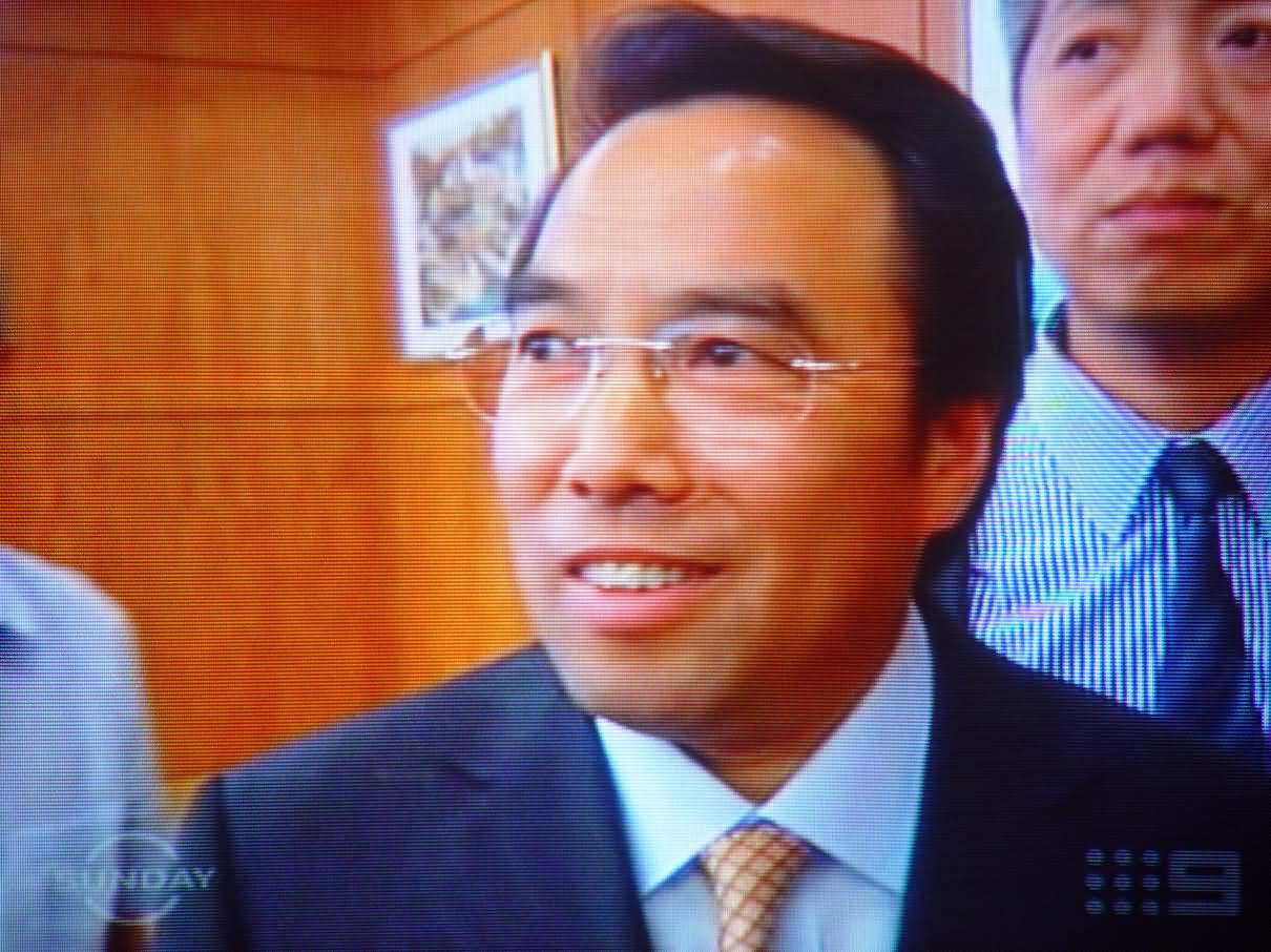 中国外长助理沈国放