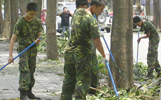 陸軍十軍團官兵  協助台中市清理街頭落葉
