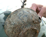 福建发现古沉船陶瓷  掀起非法打捞