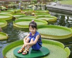 爱知小孩快乐乘坐大王莲
