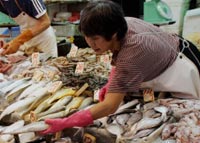 港澳大幅減少進口大陸淡水魚