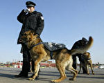 警察带着警犬巡逻。法新社照片