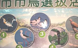 台南市将首办2005年世界水鸟会议