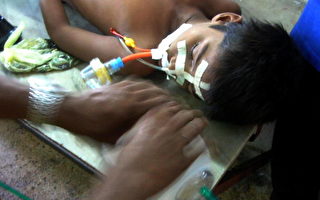 日本腦炎持續在印度蔓延 430兒童死亡